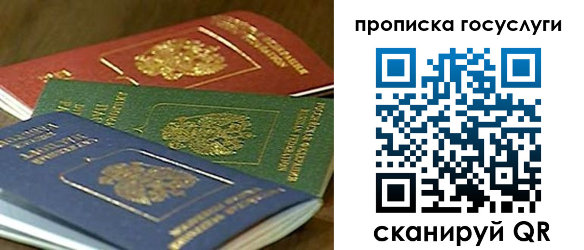 прописка гарантия в Верхней Пышме